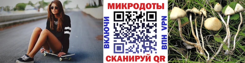 купить наркотики цена  Нарткала  Псилоцибиновые грибы ЛСД 